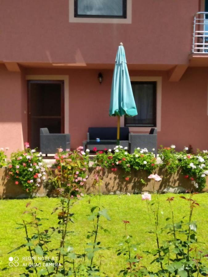 גולובאץ Apartment & Rooms Aleksandar מראה חיצוני תמונה