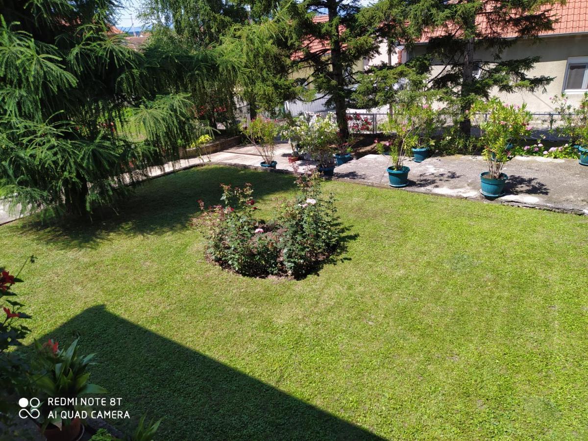גולובאץ Apartment & Rooms Aleksandar מראה חיצוני תמונה