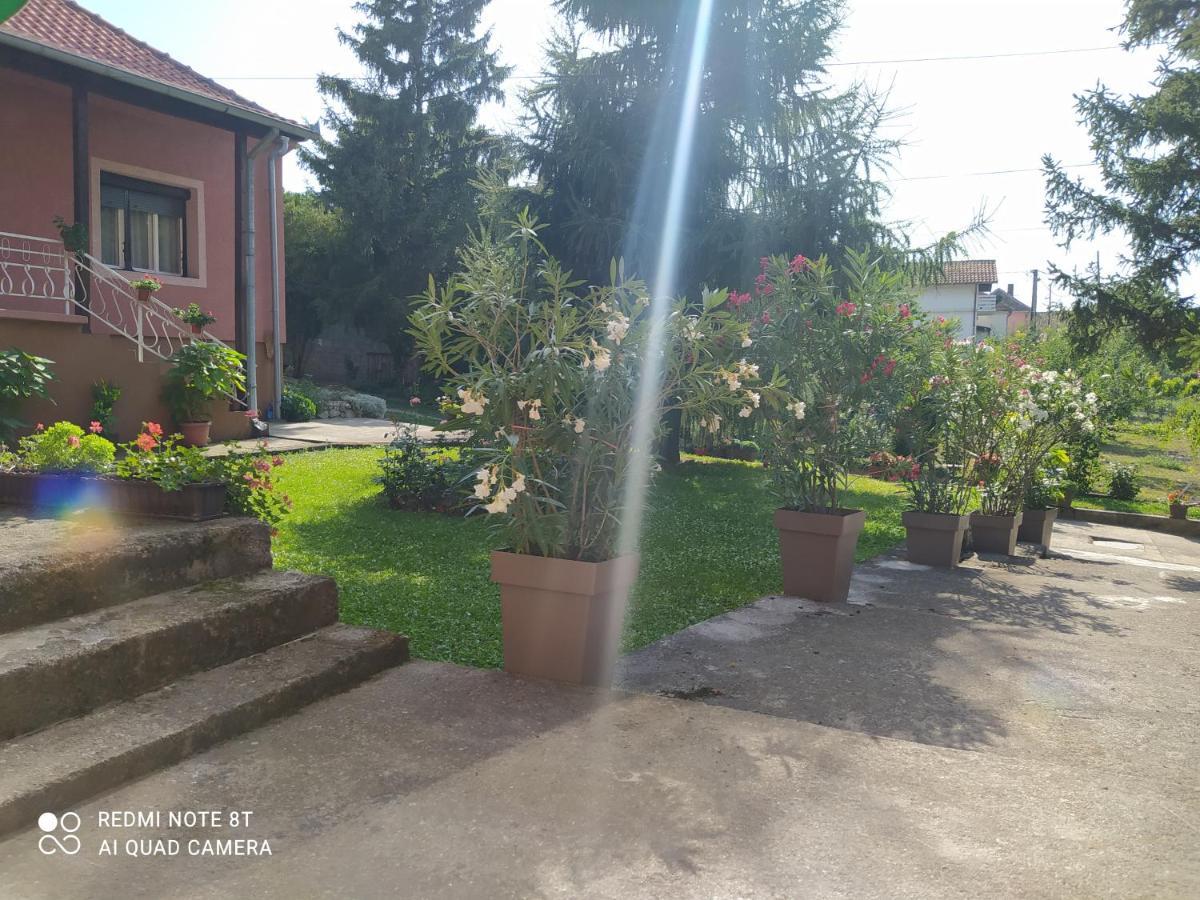גולובאץ Apartment & Rooms Aleksandar מראה חיצוני תמונה