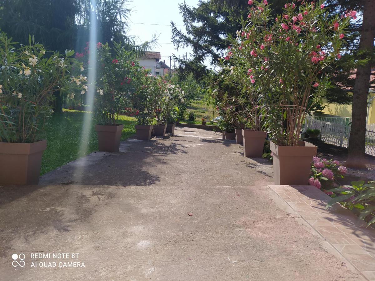 גולובאץ Apartment & Rooms Aleksandar מראה חיצוני תמונה
