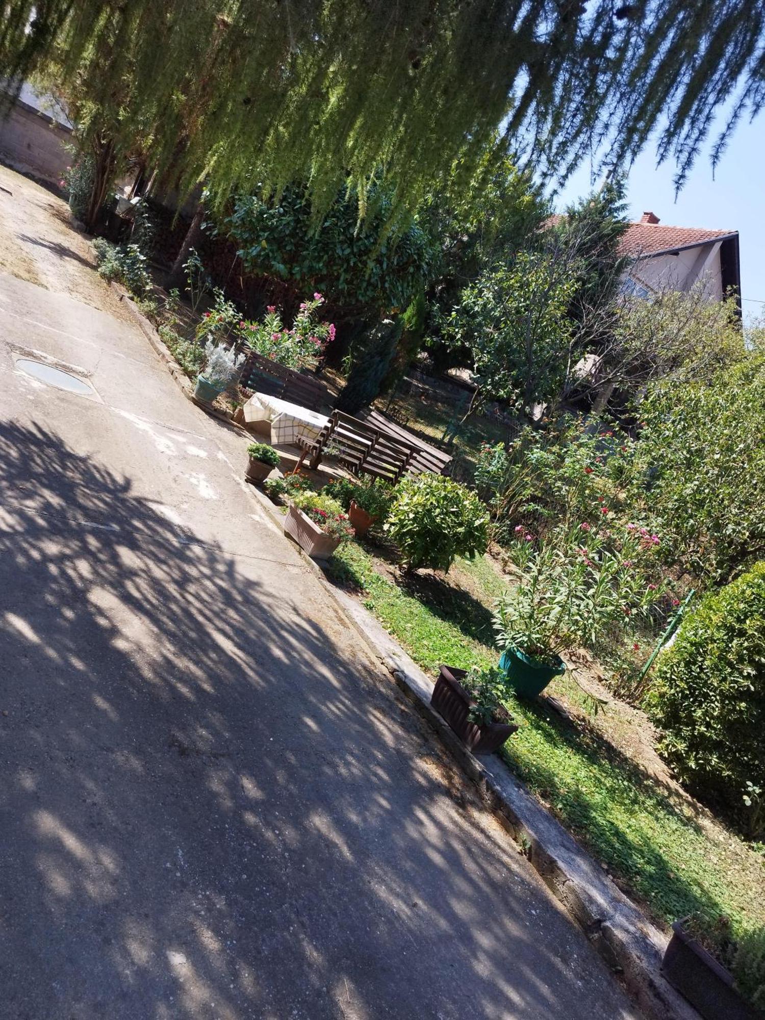 גולובאץ Apartment & Rooms Aleksandar מראה חיצוני תמונה